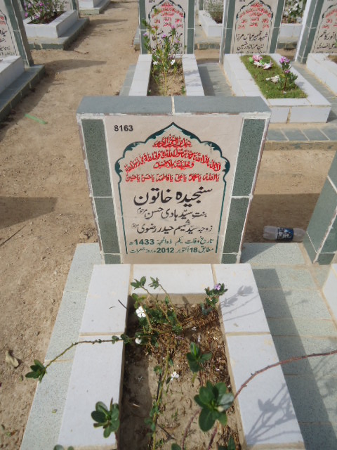 8163 – Sanjeeda Khatoon