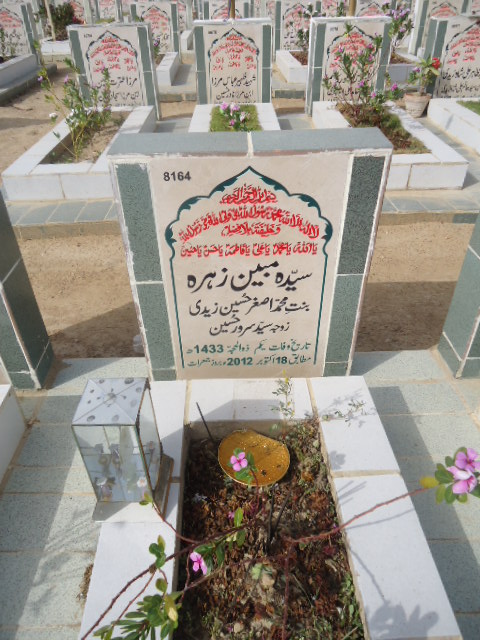 8164 – Syeda Mobeen Zehra