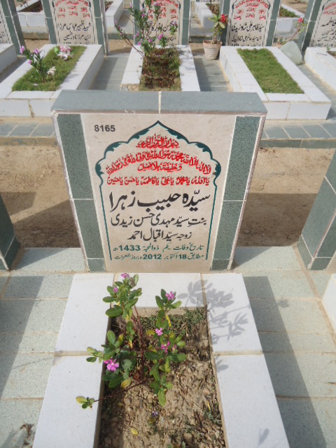 8165 – Syeda Habib Zehra