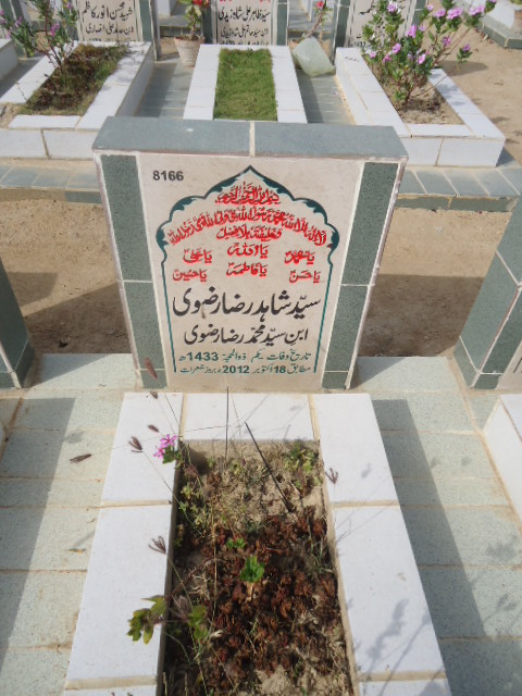 8166 – Syed Shahid Raza Rizvi