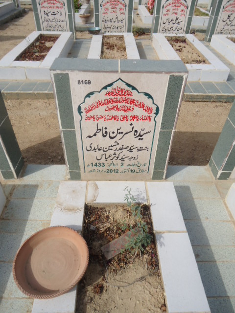 8169 – Syeda Nasreen Fatima