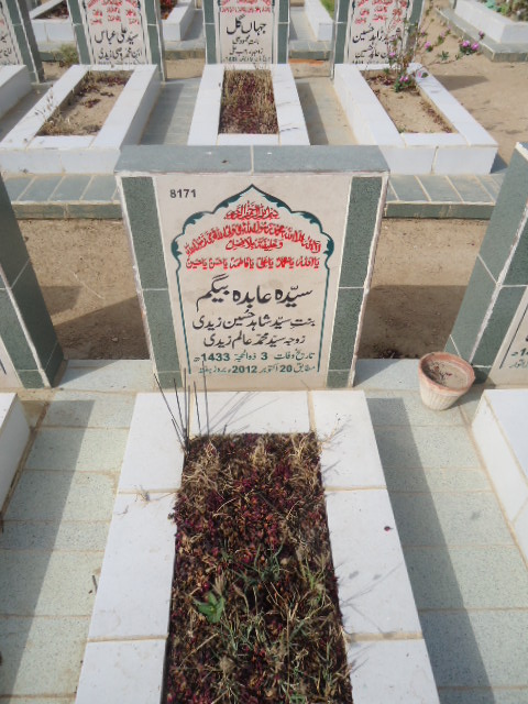 8171 – Syeda Abida Begum