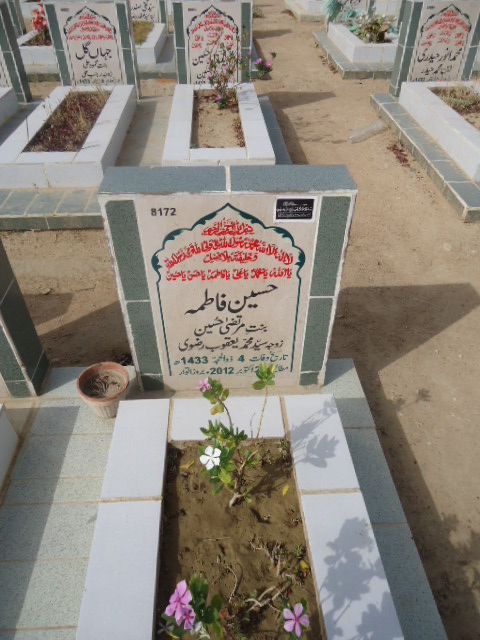 8172 – Hussain Fatima