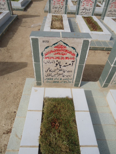 8173 – Amna Bano