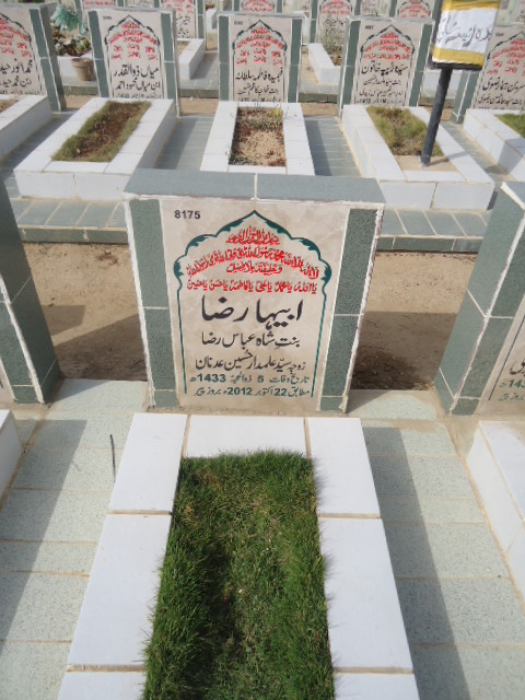 8175 – Abiha Raza