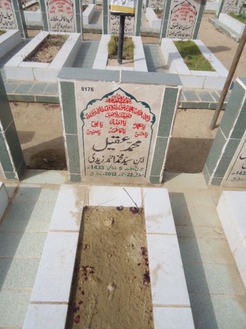 8176 – Mohd Aqeel
