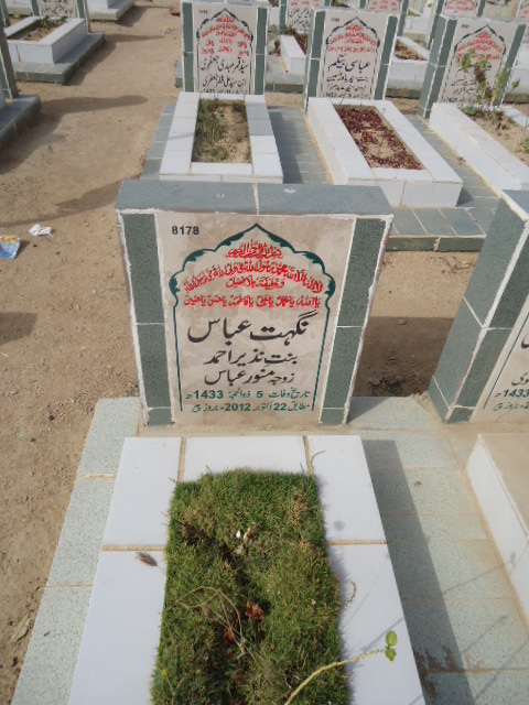8178 – Nighat Abbas