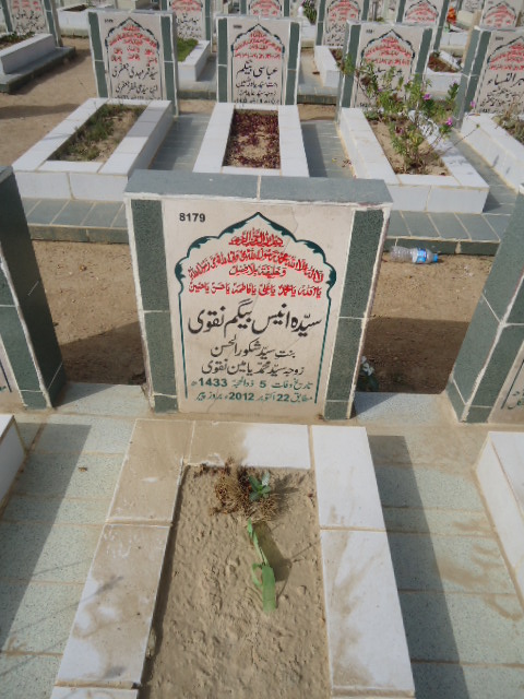 8179 – Syeda Anees Begum Naqvi