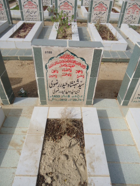 8180 – Syed Shahinsha Haider Rizvi