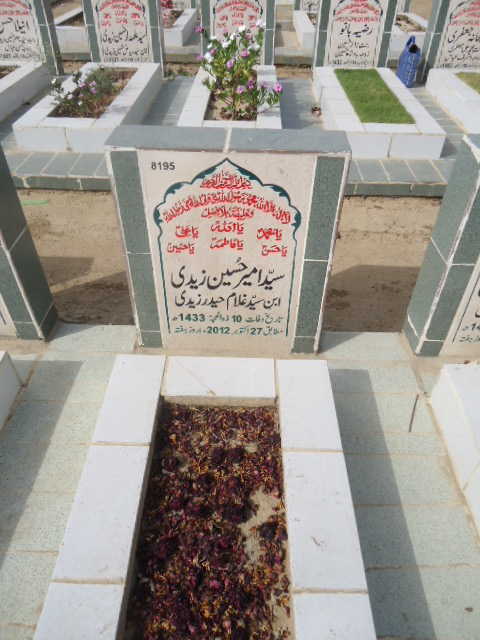 8195 – Syed Ameer Hussain Zaidi