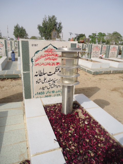 8197 – Syeda Azmat Sultana