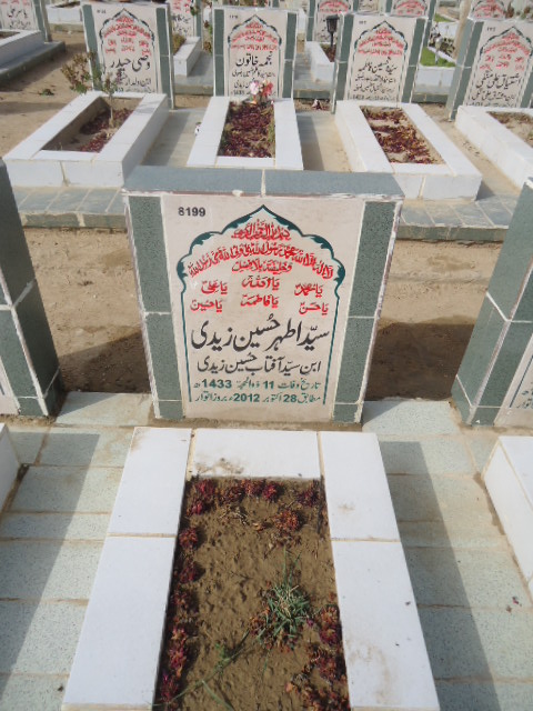 8199 – Syed Athar Hussain Zaidi