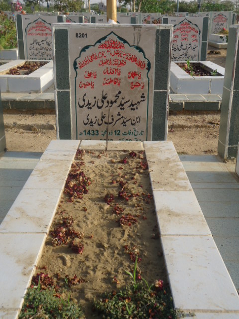 8201 – Shaheed Syed Mehmood Ali Zaidi