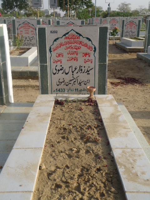 8202 – Syed Zawar Abbas Rizvi