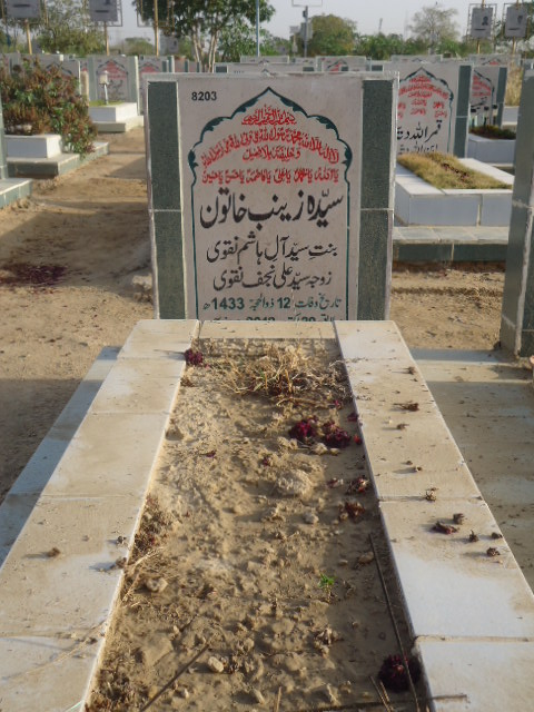 8203 – Syeda Zainab Khatoon