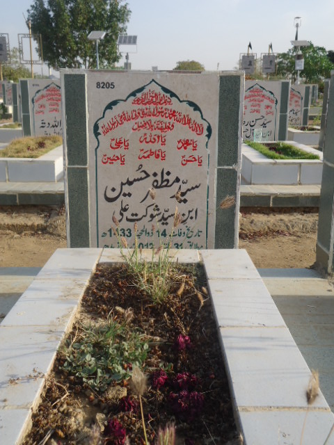8205 – Syed Muzafar Hussain