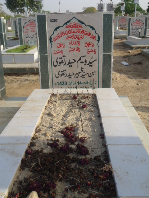 8207 – Syed Waseem Haider Taqvi