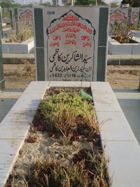 8210 – Syed Alshakarin Kazmi
