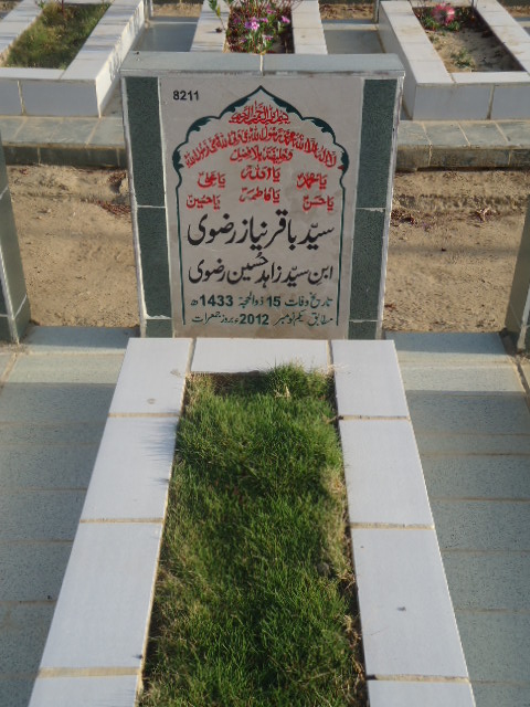 8211 – Syed Baqar Niyaz Rizvi