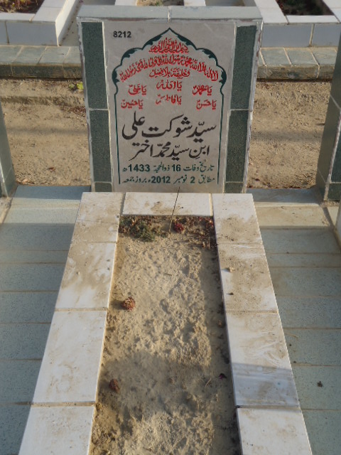 8212 – Syed Shoukat Ali