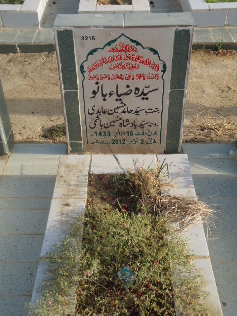 8215 – Syeda Zia Bano