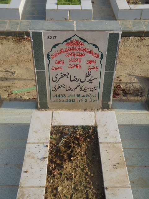 8217 – Syed Zille Raza Jaffery