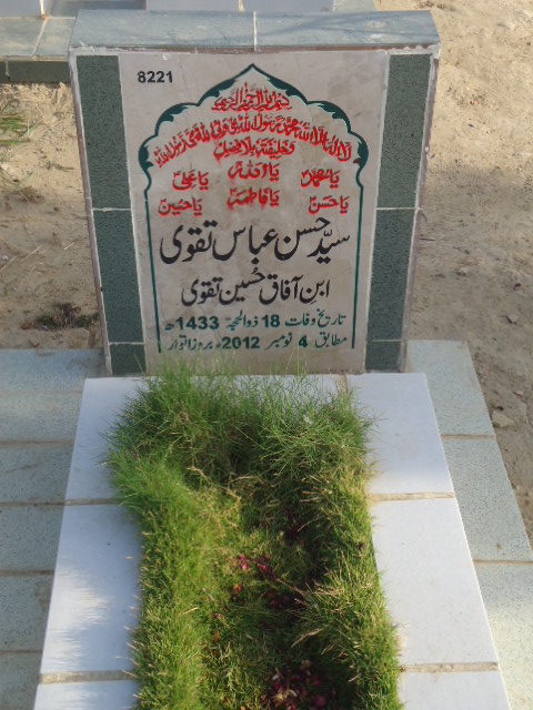 8221 – Syed Hasan Abbas Taqvi
