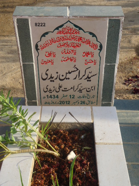 8222 – Syed Karar Hussain Zaidi