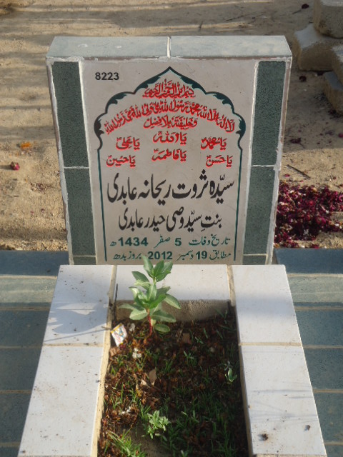 8223 – Syed Sarwat Rehana Abidi