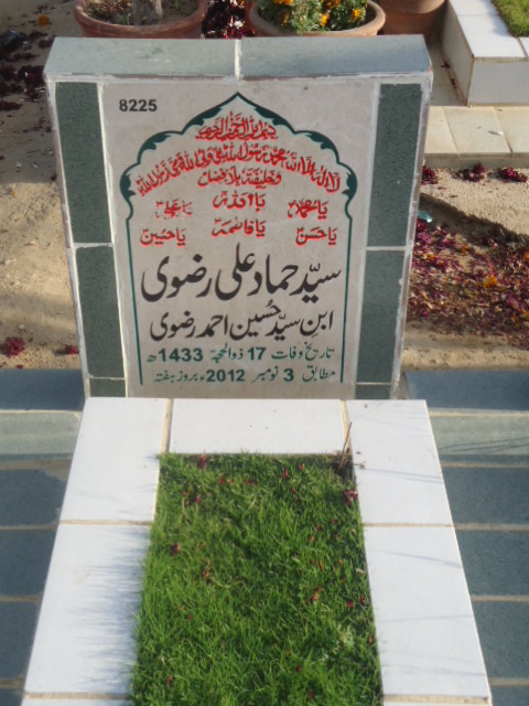 8225 – Syed Hammad Ali Rizvi