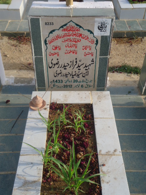 8233 – Shaheed Syed Faraz Haider Rizvi