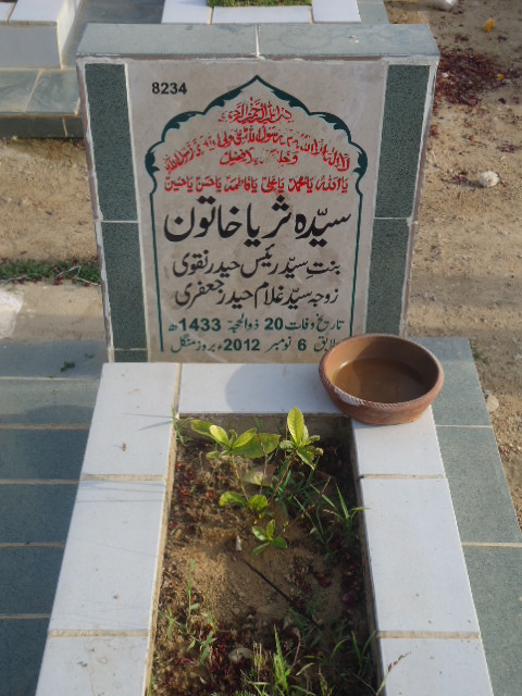 8234 – Syeda Surriya Khatoon