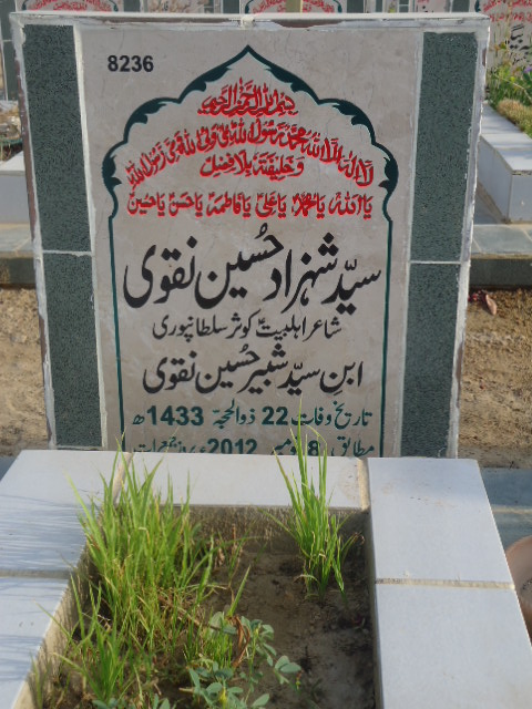 8236 – Syed Shahzad Hussain Naqvi