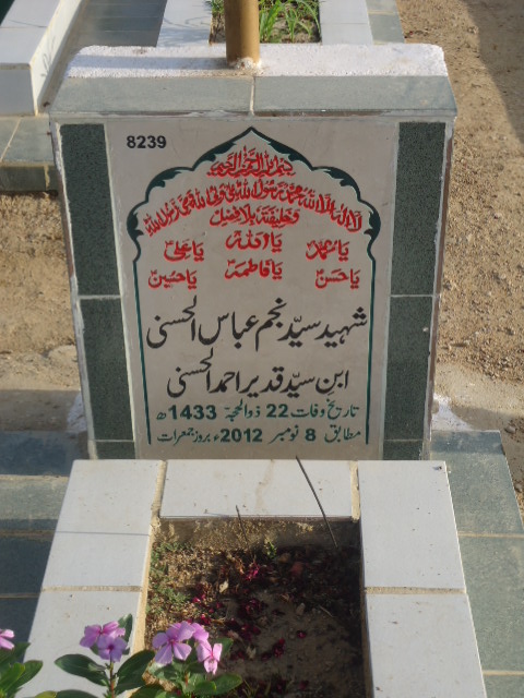 8239 – Shaheed Syed Najam Abbas