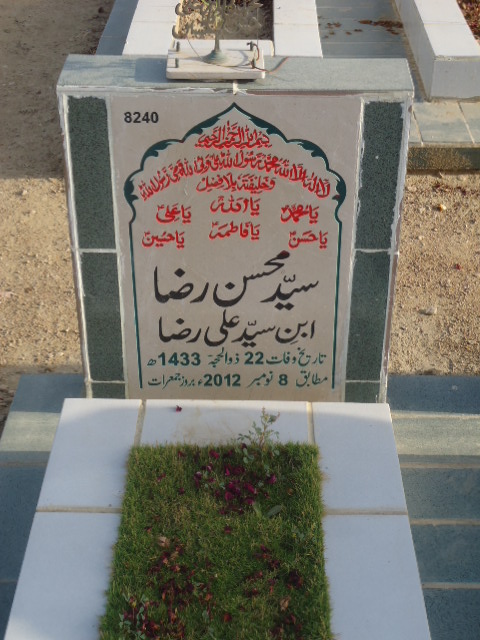 8240 – Syed Mohsin Raza