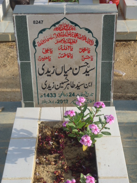 8247 – Syed Hasan Mian Zaidi
