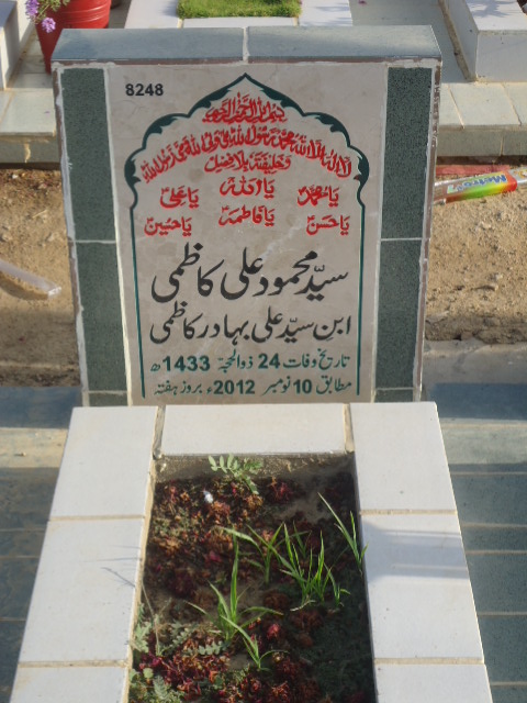8248 – Syed Mehmood Ali Kazmi