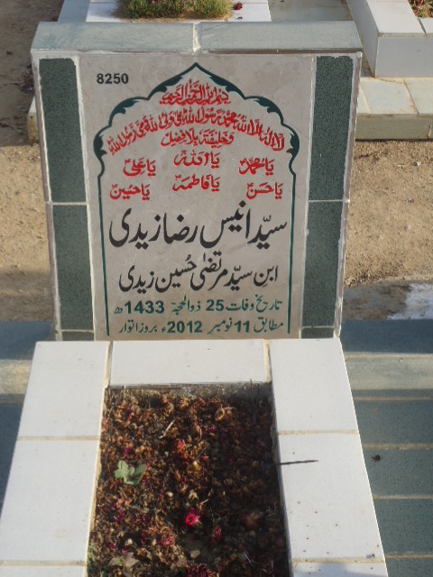 8250 – Syed Anees Raza Zaidi