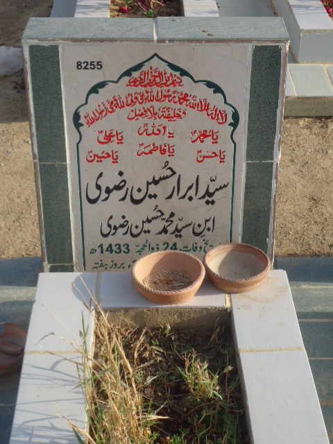 8255 – Syed Abrar Hussain Rizvi