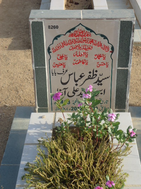 8260 – Syed Zafar Abbas