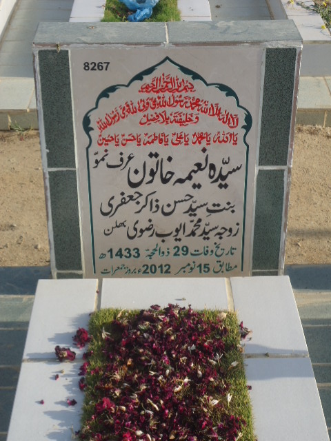 8267 – Syeda Naima Khatoon
