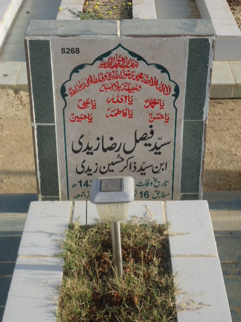 8268 – Syed Faisal Raza Zaidi