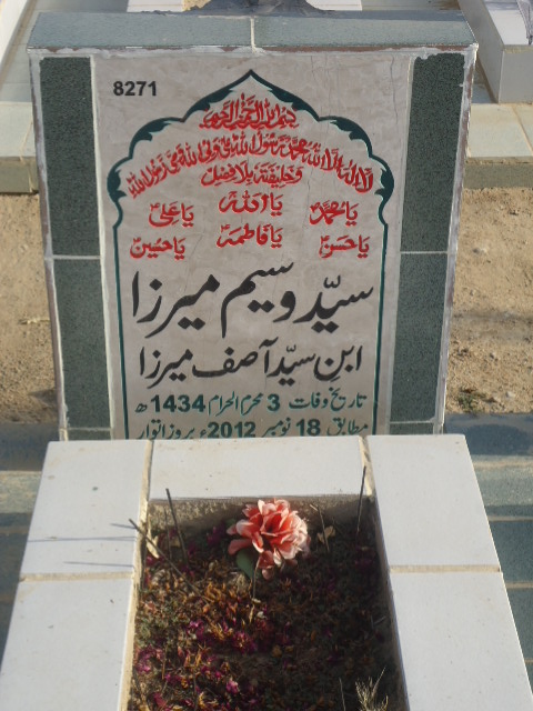 8271 – Syed Waseem Mirza