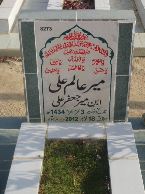 8273 – Mir Alam Ali