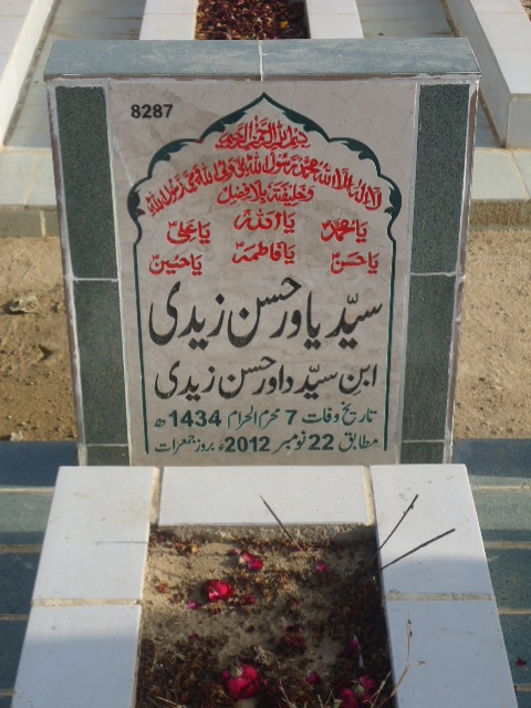 8287 – Syed Yawar Hasan Zaidi