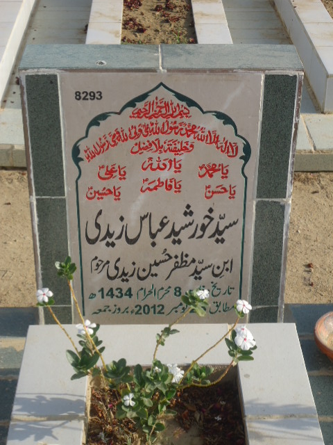 8293 – Syed Khursheed Abbas Zaidi