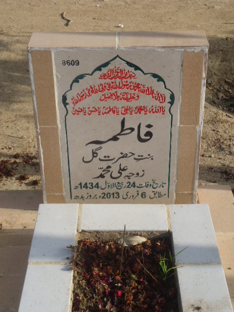 8609 – Fatima