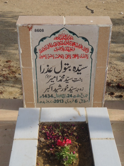 8608 – Syeda Batool Azra