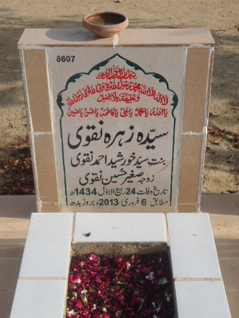 8607 – Syeda Zehra Naqvi