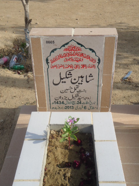 8605 – Shaheen Shakeel